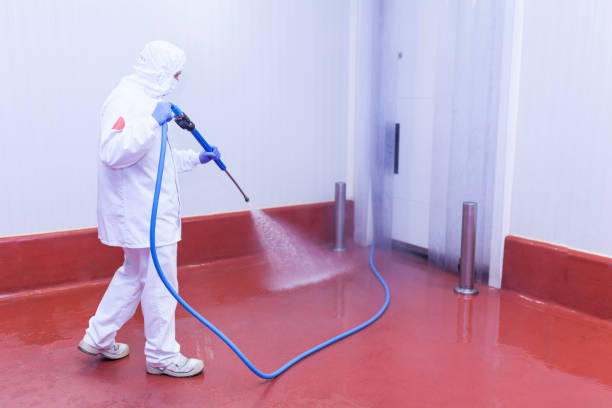 Best House Exterior Washing  in Loudonville, OH
